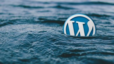 WordPress 6.0 : Découvrez ce qui vous attend !