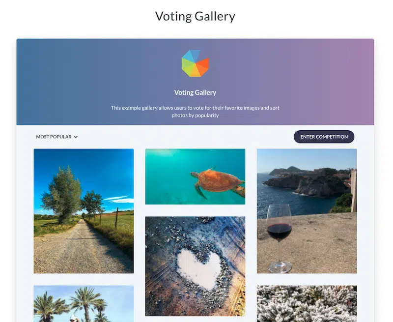Vote for the best photo Source Gleam