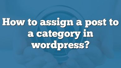 How to assign a post to a category in wordpress?