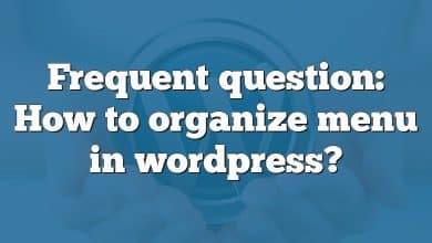 Frequent question: How to organize menu in wordpress?