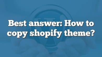 Best answer: How to copy shopify theme?