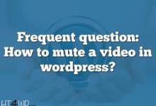 Frequent question: How to mute a video in wordpress?