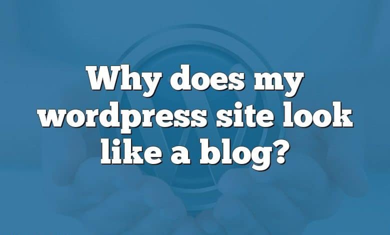 Why does my wordpress site look like a blog?