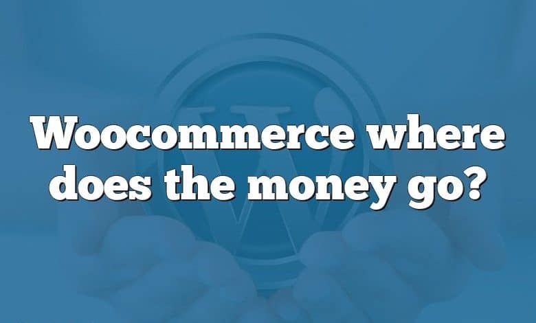 Woocommerce where does the money go?