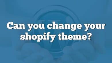 Can you change your shopify theme?